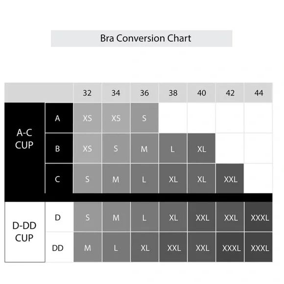 Avia Women’s High Impact Bonded Sports Bra - Picture 5 of 5